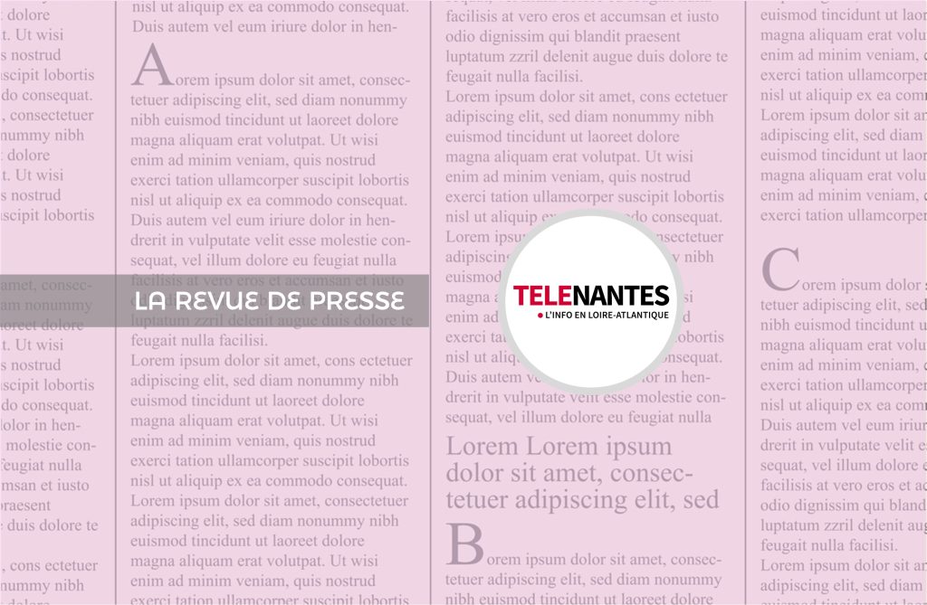 En-tête revue de presse Ose Ton Futur / TéléNantes